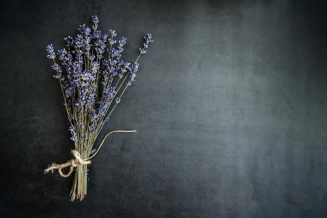 Explore Lavender Incense for Tranquil Evenings