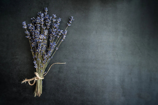 Explore Lavender Incense for Tranquil Evenings