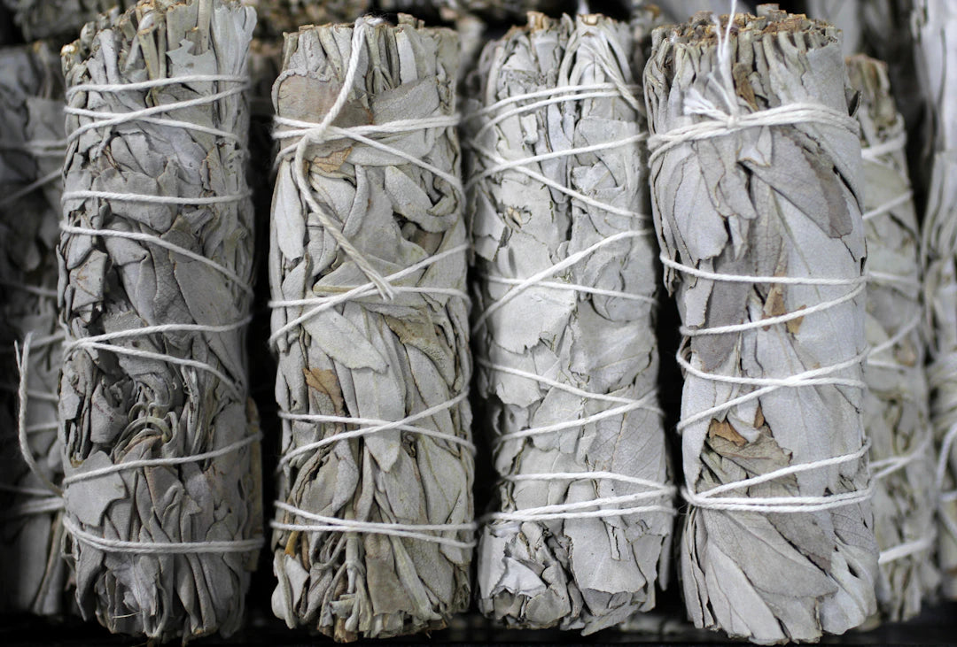 Foraging and Sourcing The Journey of Natural Incense