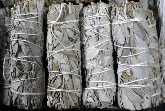 Foraging and Sourcing The Journey of Natural Incense