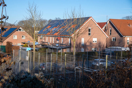 Eco-Friendly Choices Selecting Sustainable Home Products