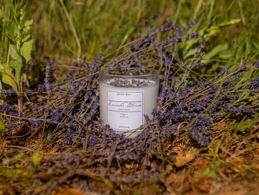 Build Your Sustainable Home Sanctuary with Natural Scents