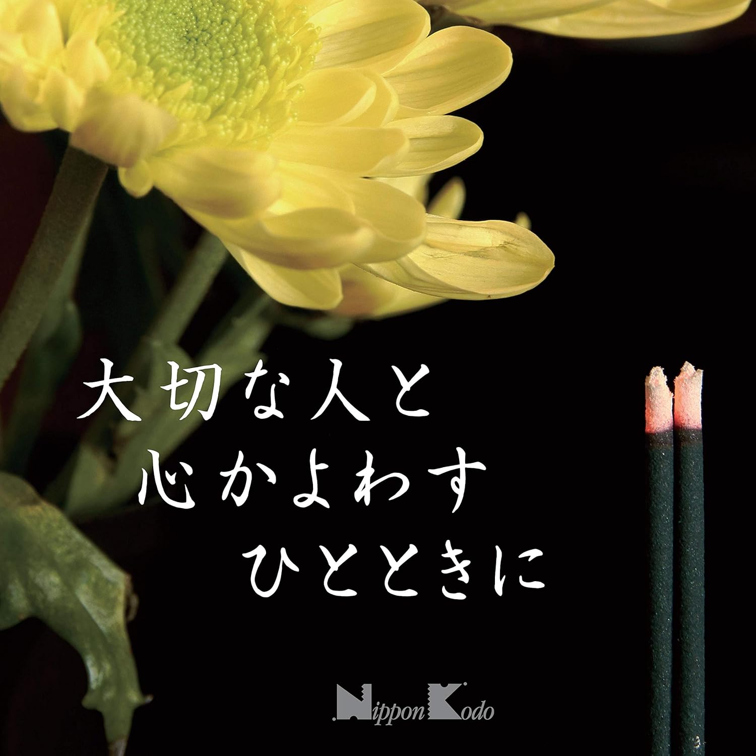 Eiju Meiko Cinnamon & Amber Incense (260 Sticks)